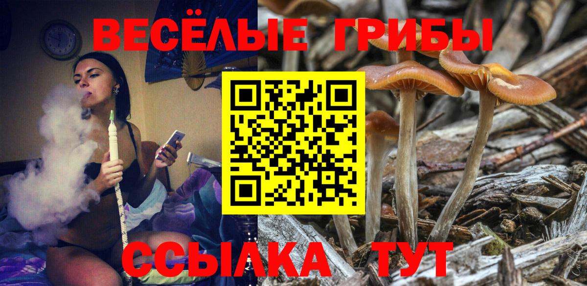 Псилоцибиновые грибы MAGIC MUSHROOMS  Вход с VPN  Псилоцибиновые грибы прущие грибы  Оренбург 