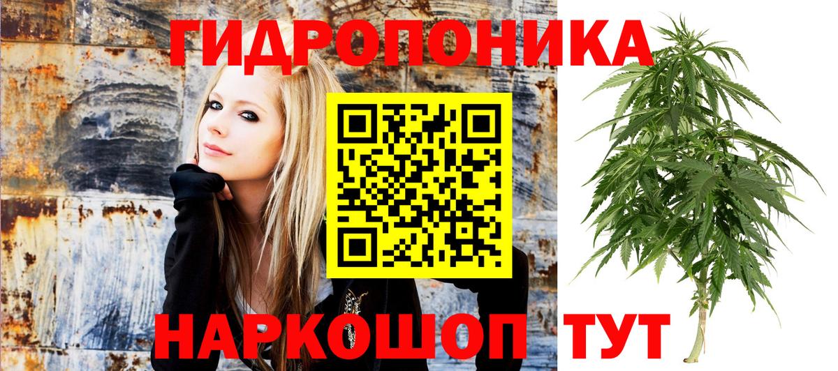 Бошки марихуана гибрид  Бошки марихуана MAZAR  Оренбург  Каннабис OG Kush  Вход с VPN 